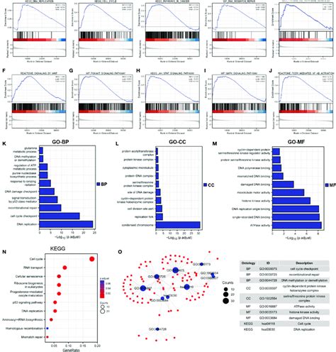 Functional Enrichment Analysis A J Gsea Enrichment Analysis