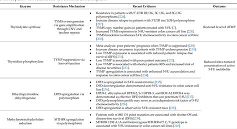 PDF Recent Updates On Mechanisms Of Resistance To 5 Fluorouracil And