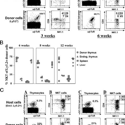 Changes In Nk Expression By Nkt Cells With Age Nkt Cells From The