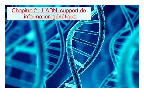 Calam O Ch L Adn Support De L Information G N Tique