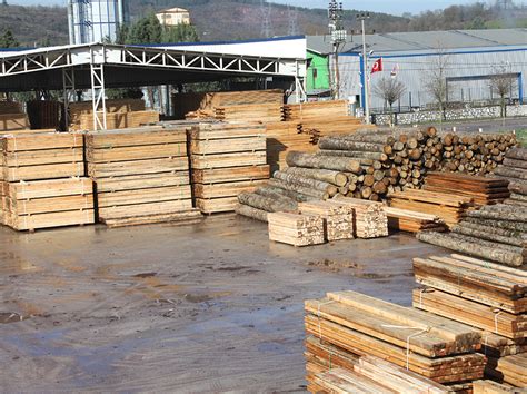 Sakarya Kereste Fabrikas H Nerli Orman R Nleri Foto Raflar