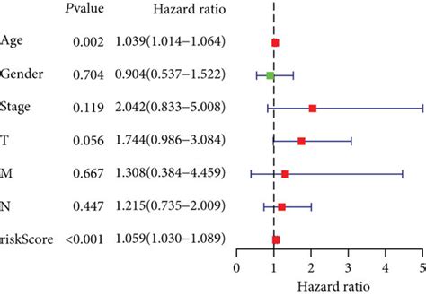 Independent Prognosis Analysis In Training Validation And Overall