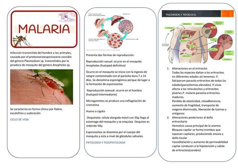 Malaria Jhonatan Sanabria Udocz