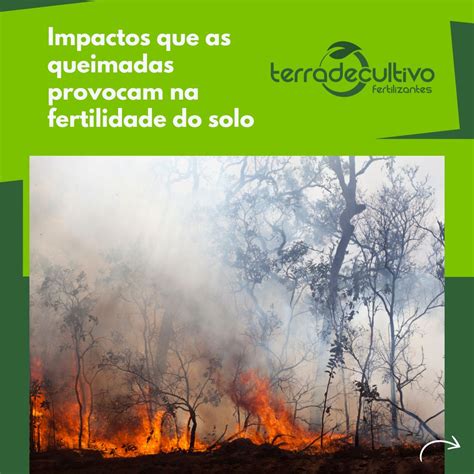 Por Que A Queimada Acaba Prejudicando A Fertilidade Do Solo - 🔥Você sabe quais são os impactos que as queimadas provocam na ...