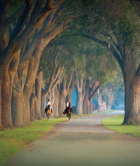 Media analysts explain the digital shift of the Star banner ocala fl newspaper 10