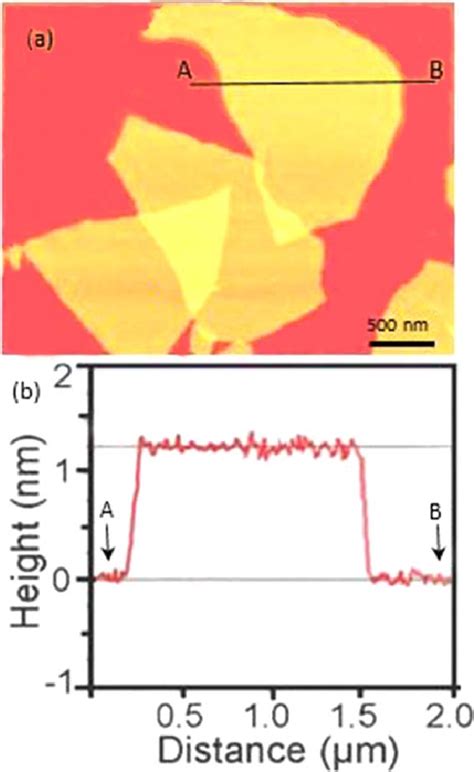 A AFM Image B Height Histogram Along Line 1 Shown In Image And C