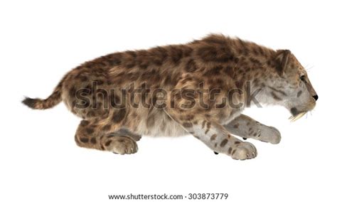 3d Digital Render Smilodon Saber Toothed Stock Illustration 303873779