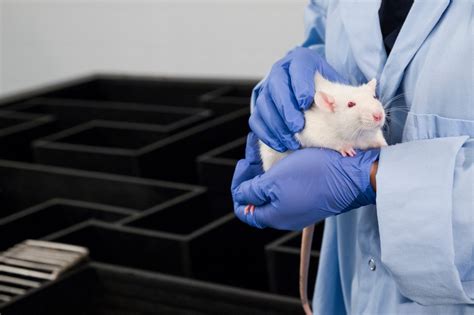 nih foundation  push animal testing alternatives  regulatory