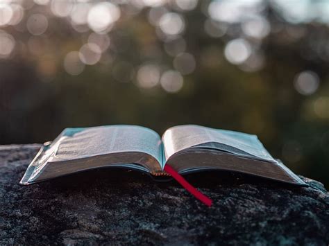 HD wallpaper: book pages on gray stone during daytime, bible, read, bokeh, faith | Wallpaper Flare