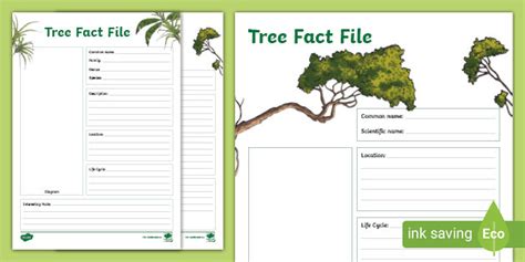 Blank Tree Fact File Teacher Made