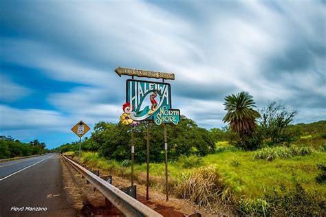 Haleiwa Travel Guide Your Guide To Exploring Haleiwa