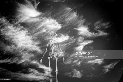 Surrealism Skeleton With Clouds On A Background High Res Vector Graphic