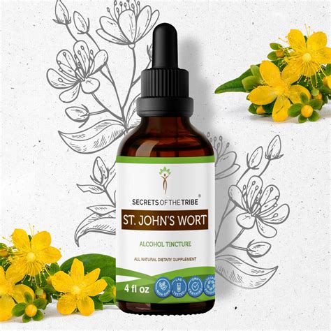 St John S Wort Tincture Alcohol Extract Organic Saint John S Wort