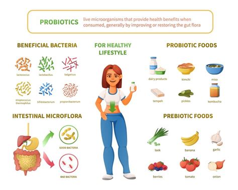 Which Probiotic Foods Are Good for Gut health?