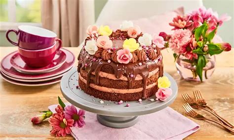 Naked Cake Schoko Mit Kokos Rezept Dr Oetker