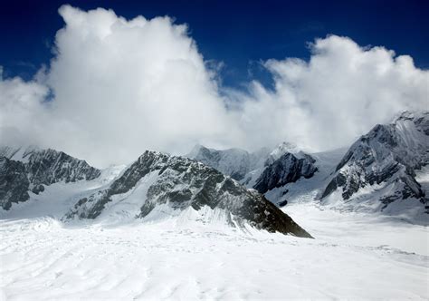 Mount McKinley or Denali, Alaska, Denali National Park. image - Free ...