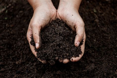 Examples Of Sustainable Uses Of Soil Ez Screen