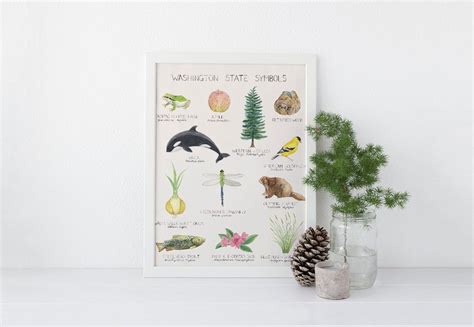 Washington State Symbols Art Print / Washington State Art / - Etsy ...