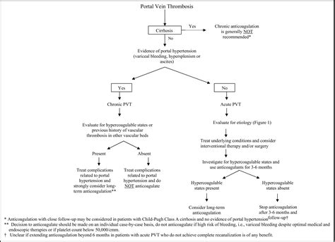 Portal Vein Thrombosis The American Journal Of Medicine