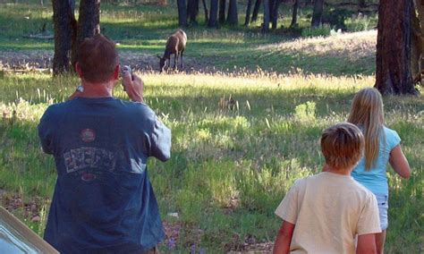 Grand Canyon National Park Family Vacations - AllTrips