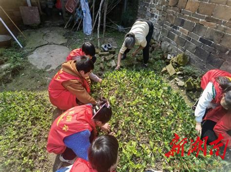 “让雷锋精神在校园闪光”衡阳市各中小学校开展学雷锋系列活动 大城小巷 新湖南