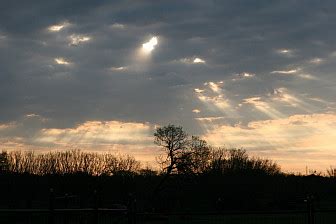 China Grove - China Grove, Texas