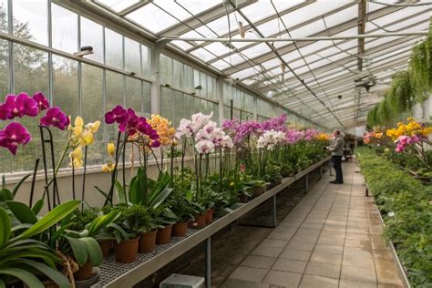 What Makes A Greenhouse Ideal For Orchids Key Features Explained