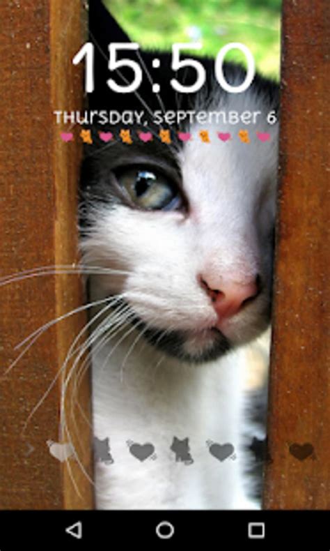 Cute Cat Lock Screen Passcode Pattern Cute Cat для Android — Скачать