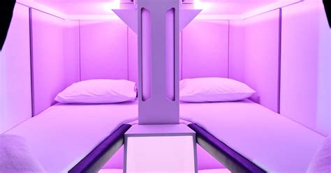 The Future Of Air Travel Airline Introduces Economy Class Bunk Beds