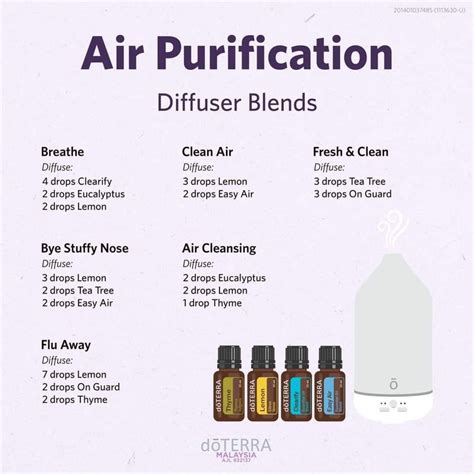 Air Purification Diffuser Blends Essential Oil Diffuser Blends