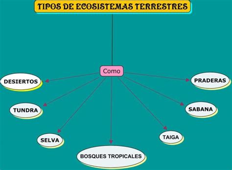 Tipos De Ecosistemas Componentes Características Y Ejemplos Cuadro Comparativo