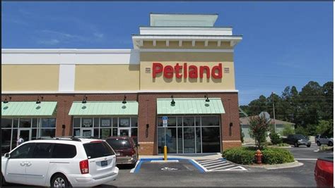 Petland - 50 Photos - Pet Stores - Southside - Jacksonville, FL ...