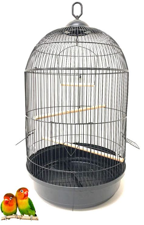 10 Best Small Song Canary Bird Cages Hummingbirds Plus