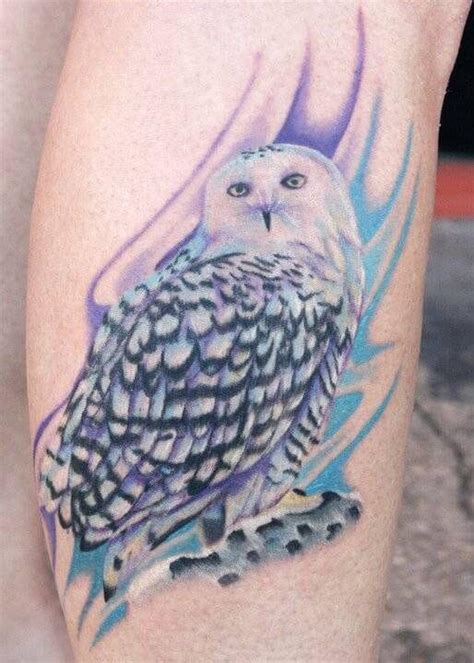 10+ Best Snowy Owl Tattoo Ideas | PetPress