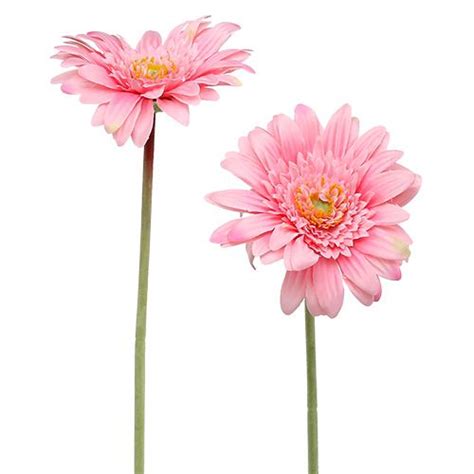 Floristik24 fr Gerbera rose artificiel Ø10cm L53cm 6pcs 85777