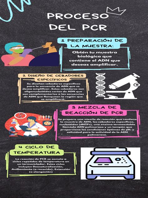 Proceso Del Pcr Y Usos Descargar Gratis Pdf Reacción En Cadena De