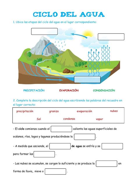 Ciclo Del Agua Free Activity Ciclo Del Agua Ense Anza De La