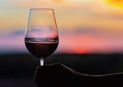 Benef Cios Do Vinho Branco E Tinto Uma Explora O Profunda