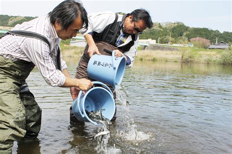 4万匹の稚アユ放流 名張川漁協組合 伊賀タウン情報 You ニュース