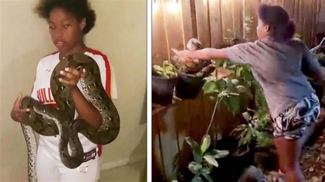 Brave Year Old Nabs Stray Python In Neighbors Yard Youtube