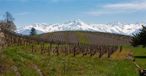 Tout Savoir Sur Les Vins De Savoie Marie Claire