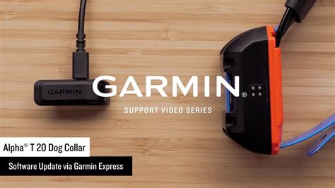 Garmin Support Alpha® T 20 Dog Collar Updating Via Garmin Express