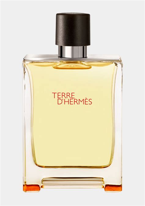 Hermes Terre Dhermes For Men Edt 100ml Wholesalekw