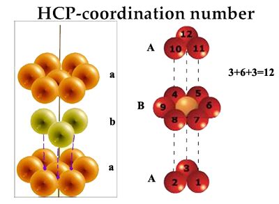 Coordination Number of Hcp