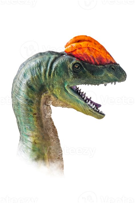 The Head Of Dilophosaurus Dinosaur On Isolated Background 21183093 Png