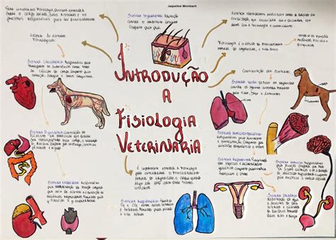 Fisiologia Veterin Ria Fisiologia I