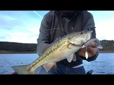 Underspin Keitech Bass Fishing Youtube