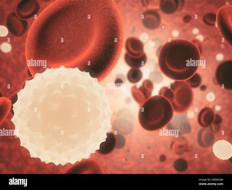 L Int Rieur Du Corps Humain Vue Microscopique D Un Virus Attaquant