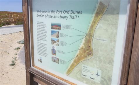 Fort Ord Dunes State Park Beach, Marina, CA - California Beaches