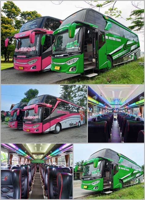 Ariputra Bus Collage CITRANI WISATA